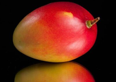 Mangue