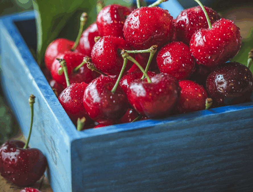 Cerises rouges fraîches dans une caisse bleue.