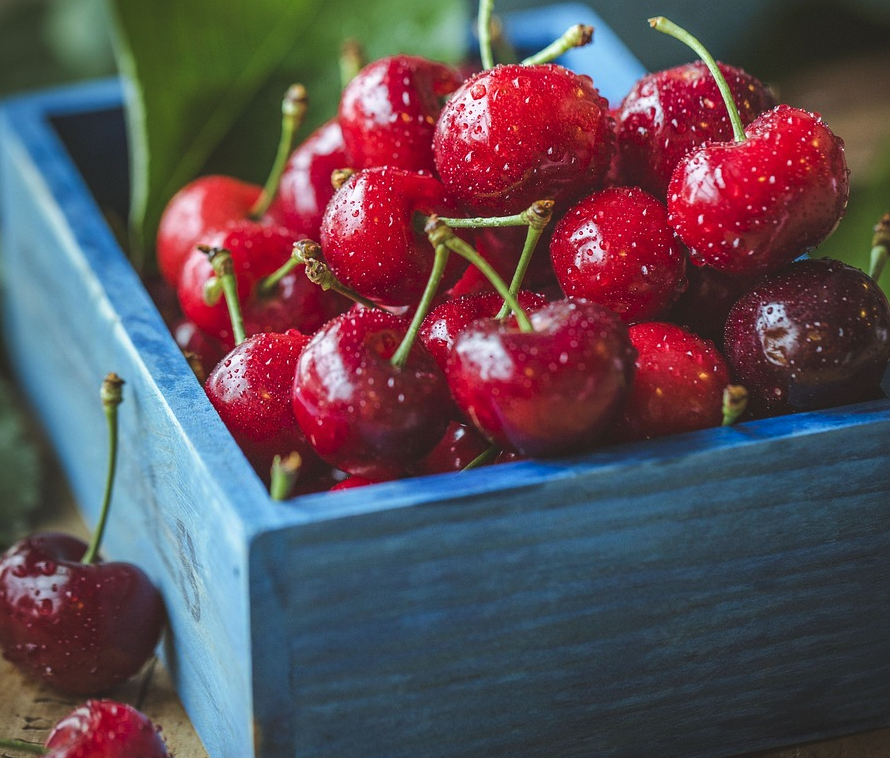 Cerises rouges fraîches dans une caisse bleue.