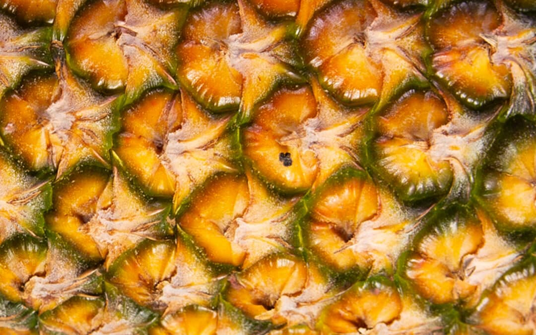 Gros plan d'une peau d'ananas