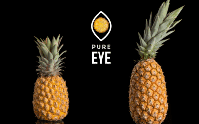 Regard sur l’ananas