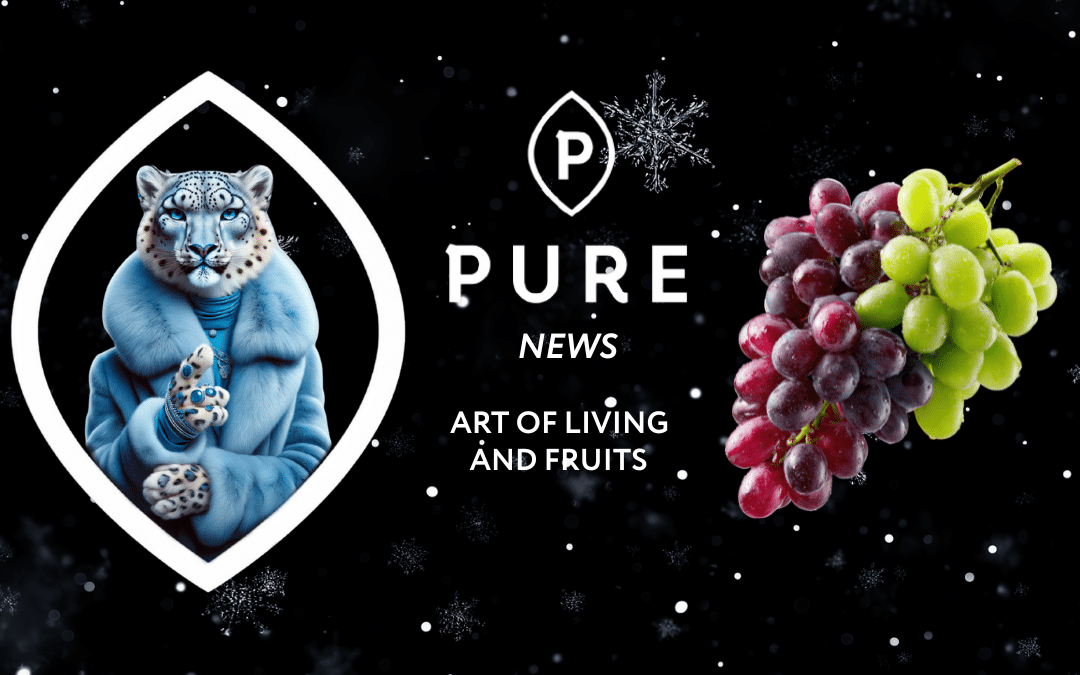 Logo PURE News avec léopard stylisé et raisins