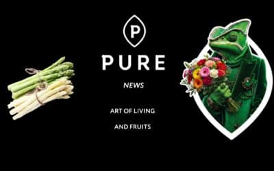 News Printemps 26