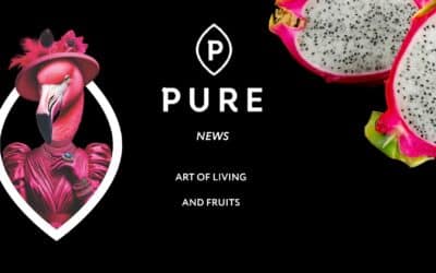News Eté 26