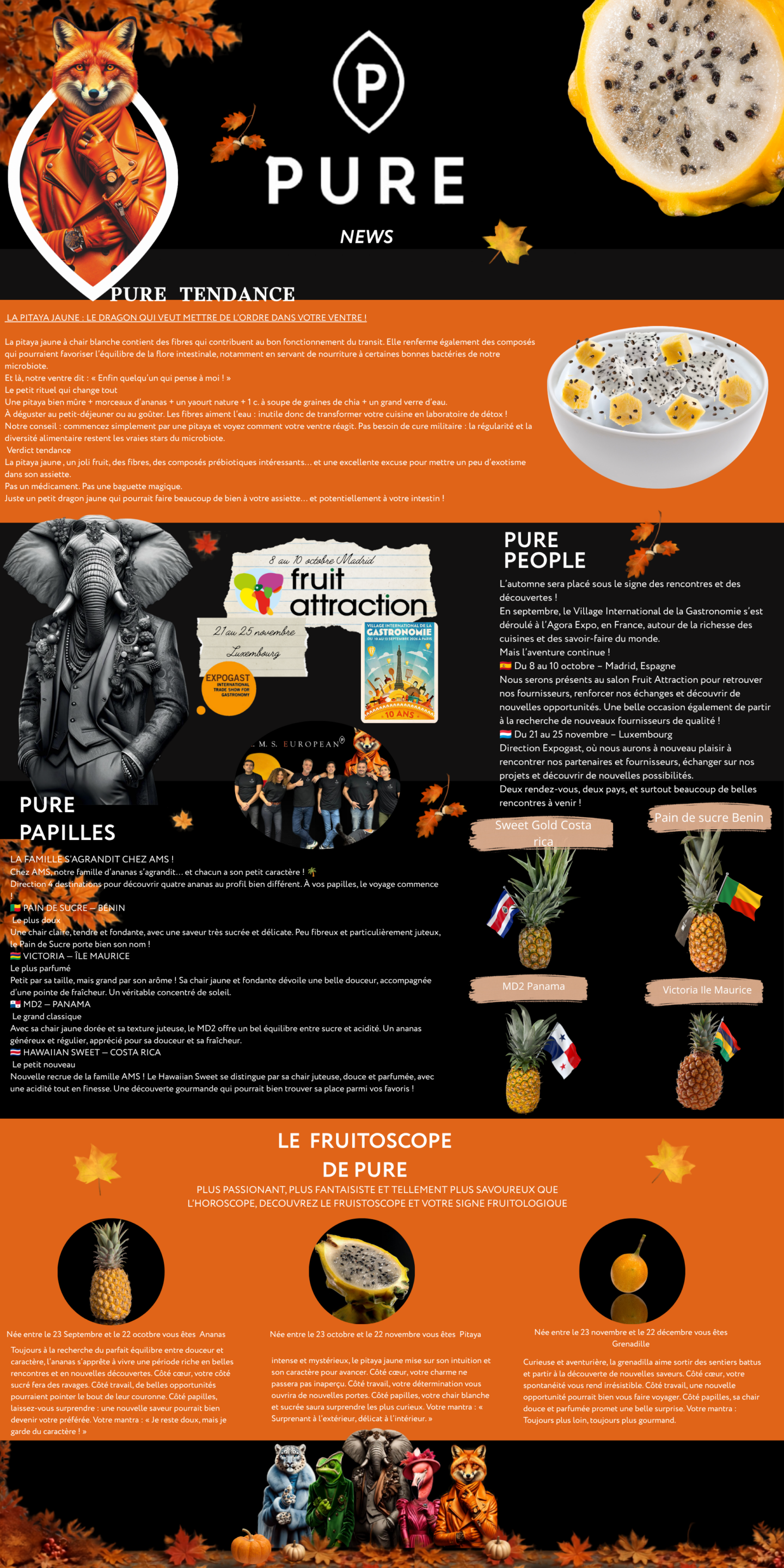 Newsletter Pure sur pitaya jaune, ananas et événements